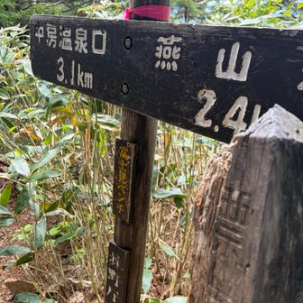 うひぃぃぃ💦もはや苦悶の表情しかでないわ…
富士見ベンチ…久々だこんな動かん体💦
きっとシャリバテか！合戦小屋でうどんだ！
と目標を持って頑張る😤