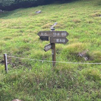 駐車場を目指します