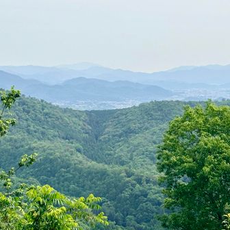 比良方面も遠くに見えてます⛰️