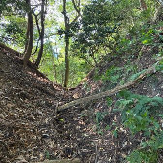 鳥撃峠。左は神明山砦・右は堂木山砦でここは進軍の要所。