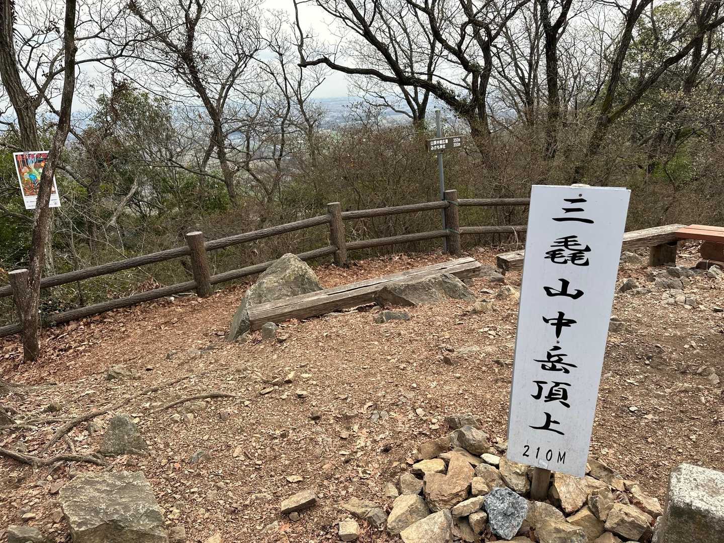 登る予定じゃなかったのですが、せっかくなので(笑)
