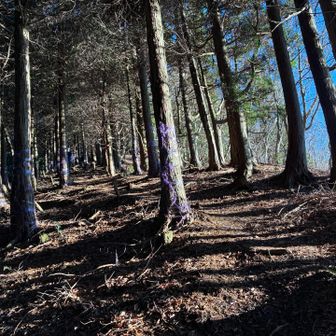 結構な斜面登る