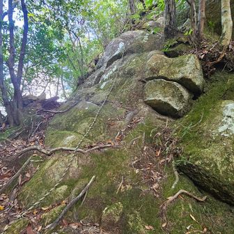 頂上直下はとにかく岩登り