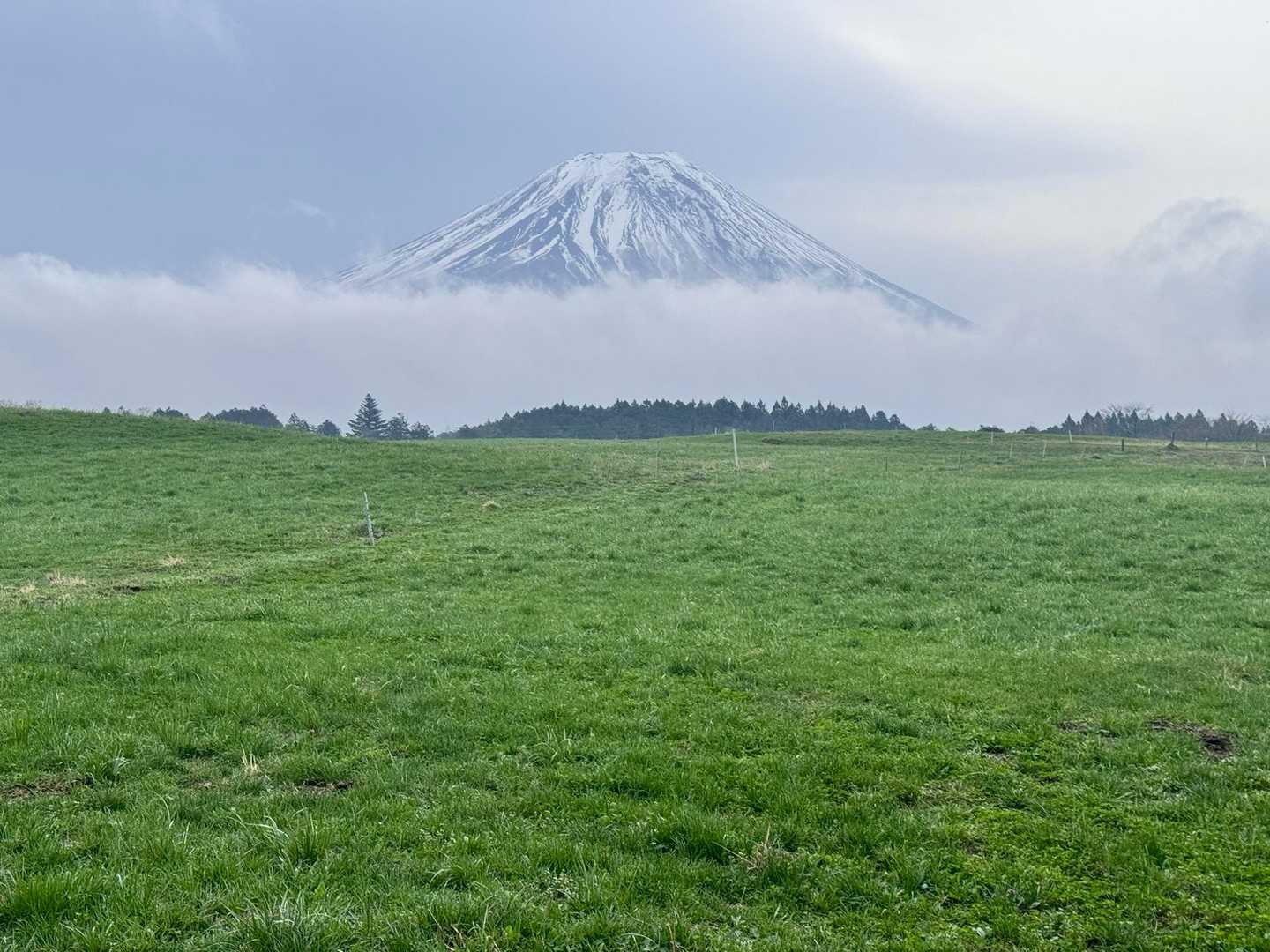 登山口まで4キロは平坦なトレイル