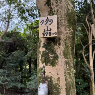 タタラとは製鉄でもしてたのかな…
