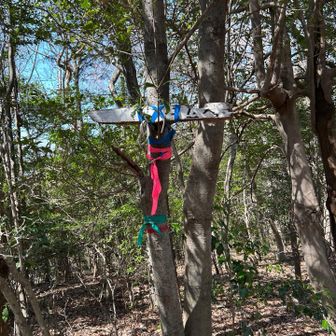 案内標識、崩壊中。