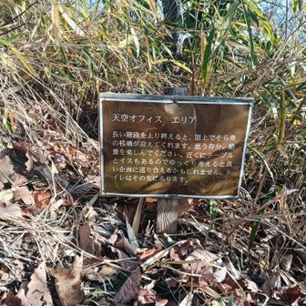 天空オフィスエリアの看板