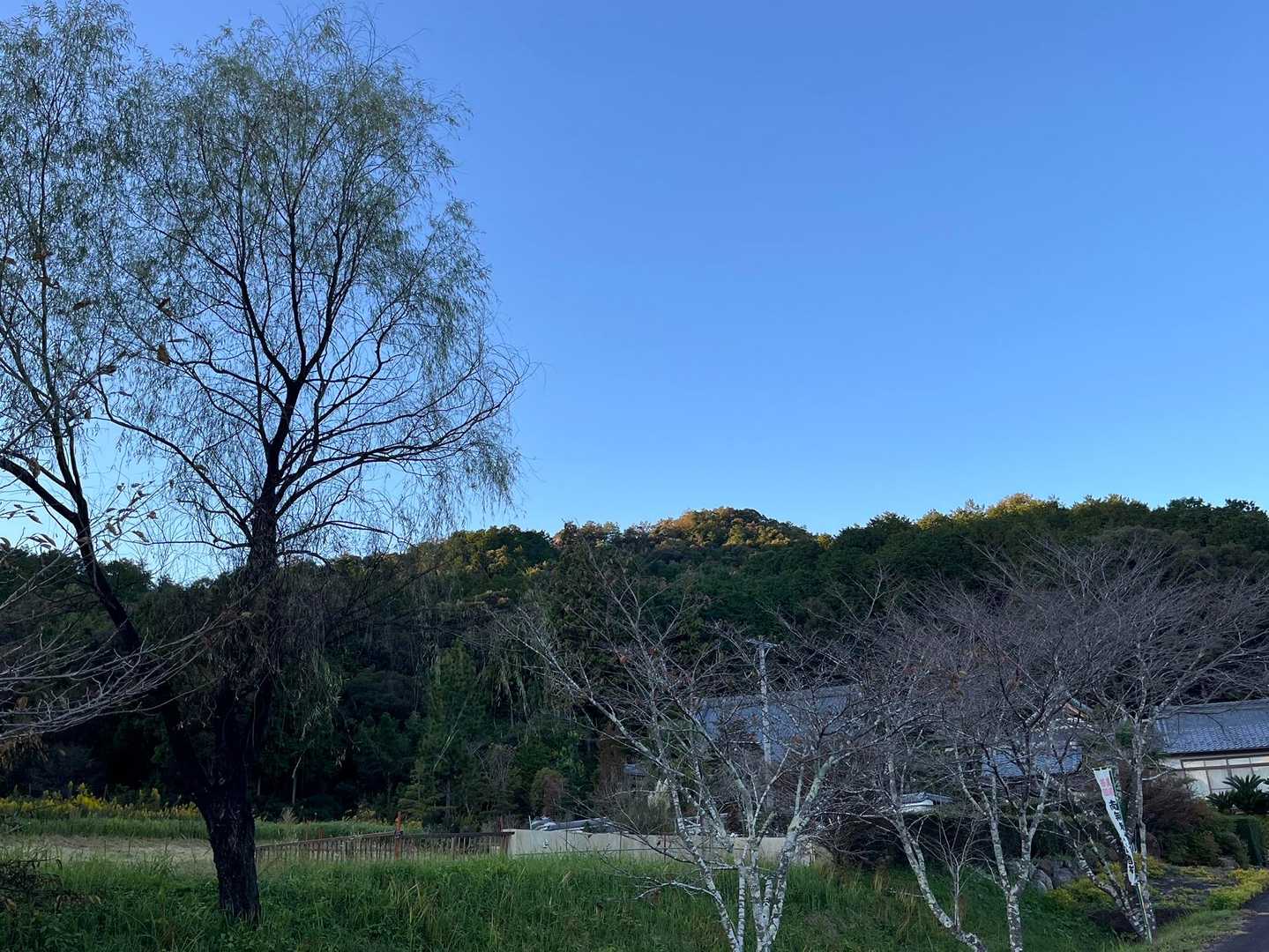 登ってた山