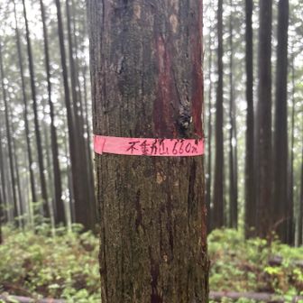 次もグレピの不動山⛰️