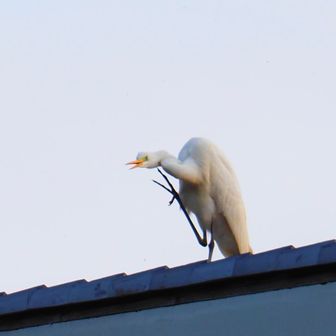                          痒かったんだね😆
