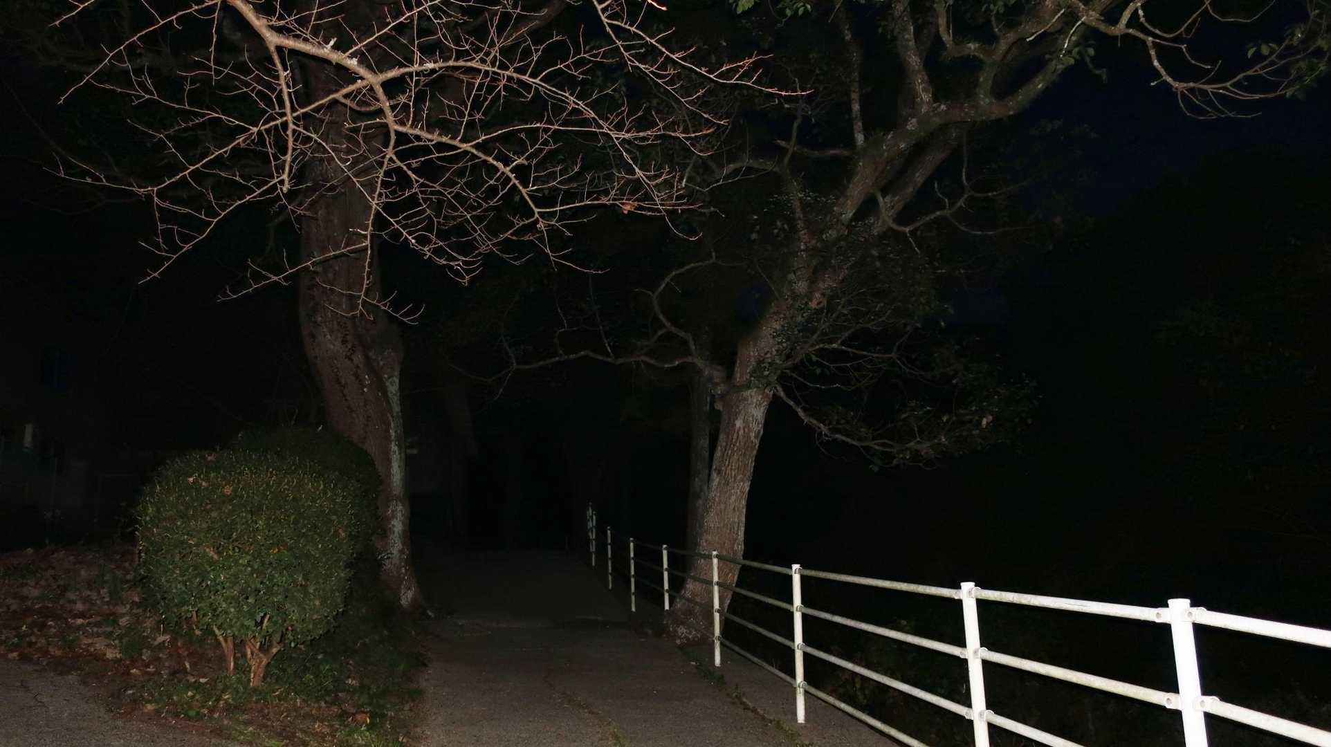 登山口から