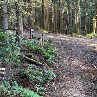 柚之木の頭からはほぼRun🏃‍♀️
あっという間にげざーん