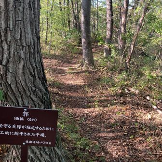 そこまで広くはありませんでしたが、ここは廓だそうです。