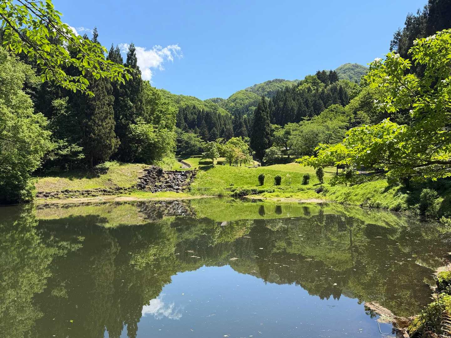 関沢森林公園
今日は良いお天気です😄