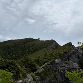 森林限界から山頂を望む。ガレ場が大変でした💦