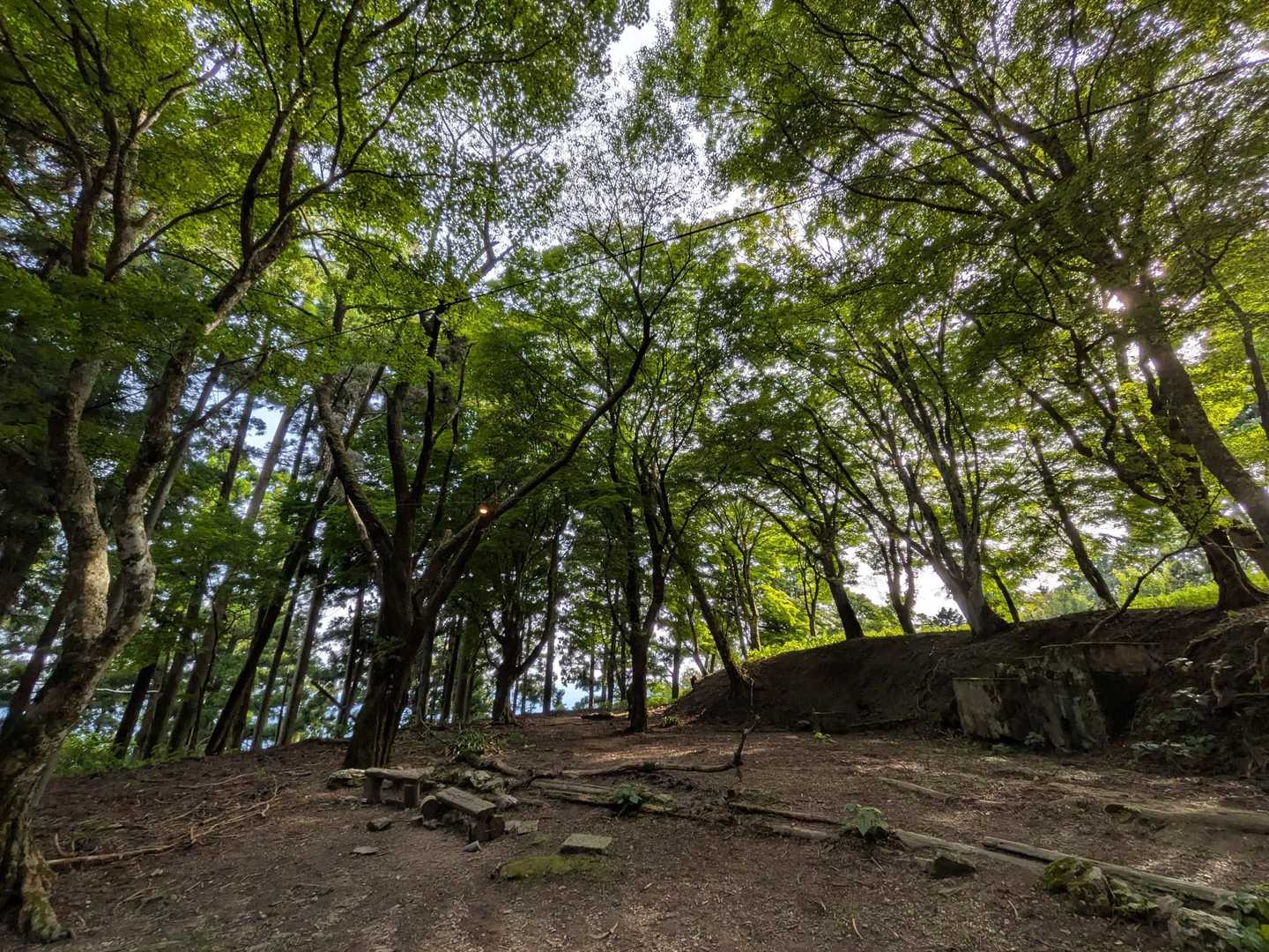 下山は登ってくる方をうちわで扇いで応援🪭