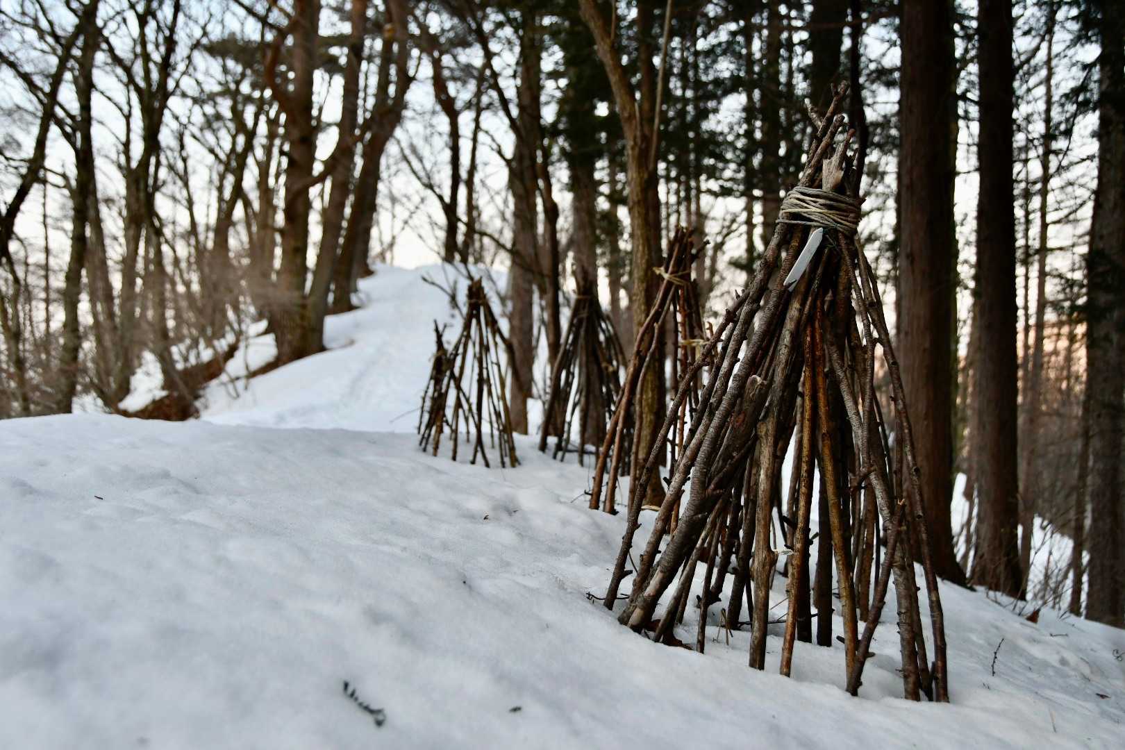 荒山高原登山口-荒山高原-火起山 往復コースの写真