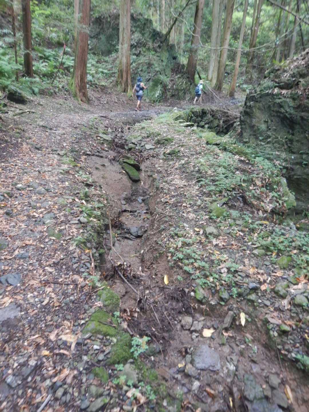 天覧山-多峯主山登山口-大黒山-多峯主山登山口-竈門山登山 周回コースの写真