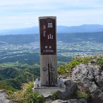 ここまでは虫がいなくて　歩きやすかった😁