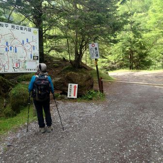 桜平登山口