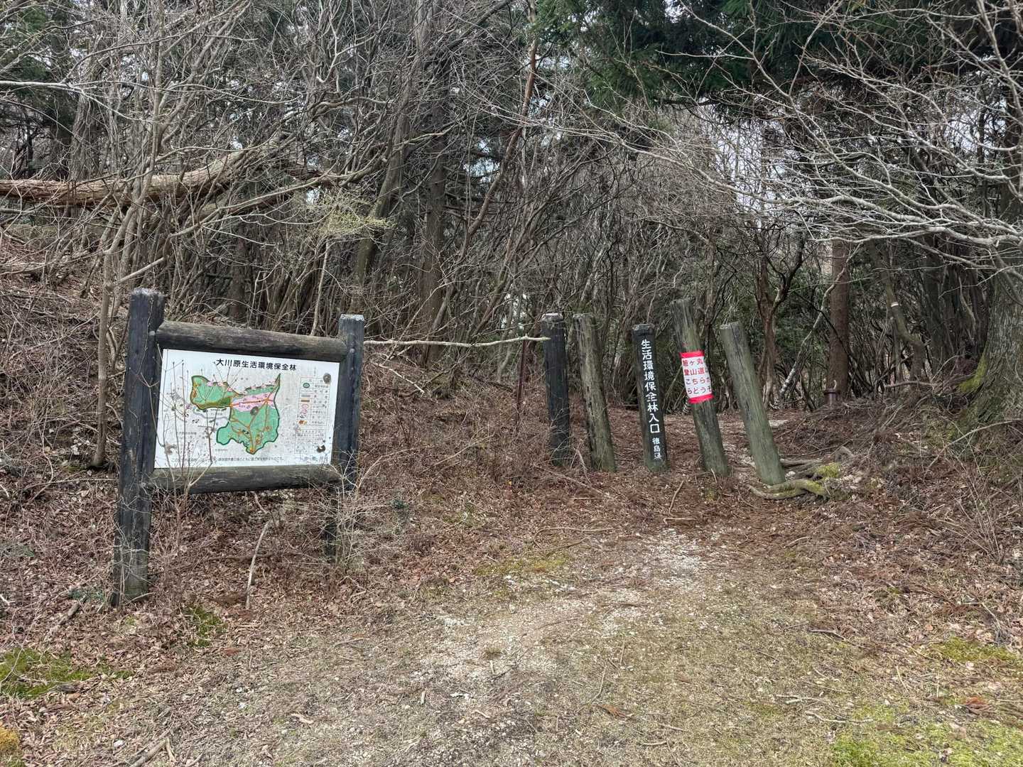 ここから登山道に入ります。