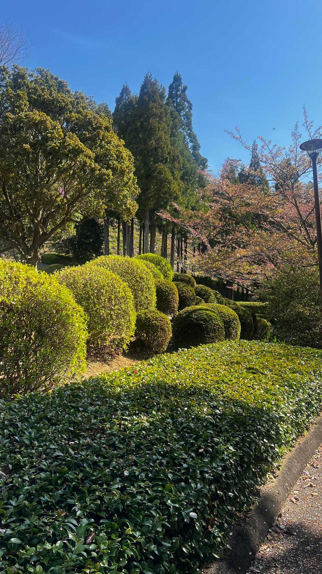 西龍王山登り口-西龍王山 往復コースの写真