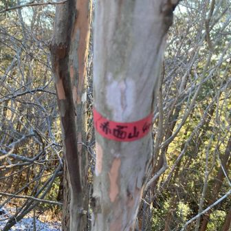 赤面て
赤いのは🟥テープ📼