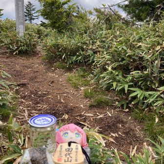三角点、お神酒と🍙でお祝い中
（早く下山しなよ〜、バス乗り遅れるよ💦）