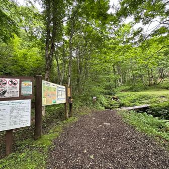 猿倉登山口からスタート🚶