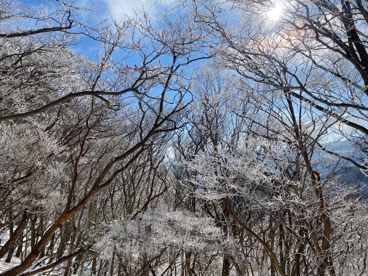 高見峠-高見山 周回コースの写真