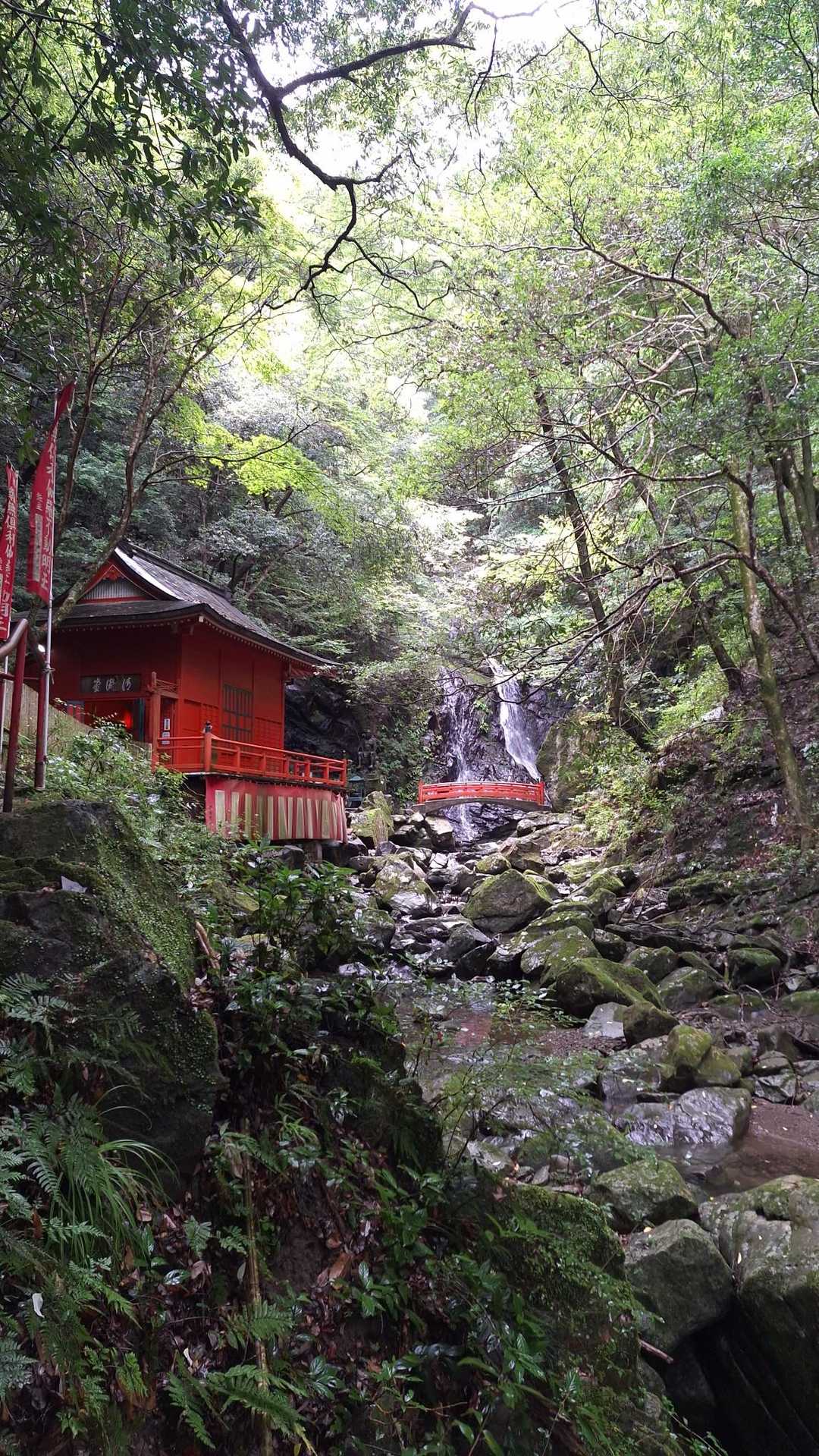 犬鳴山バス停-七宝龍寺本堂-葛城山 往復コースの写真