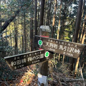 要害山の頂上、よく見るとピークの看板が書いてある。