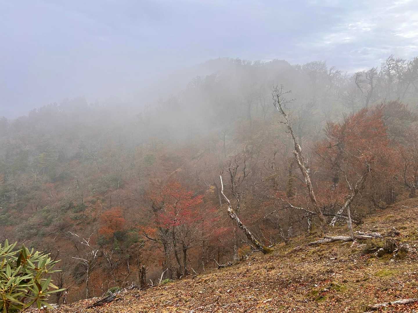 🌫️が、、、