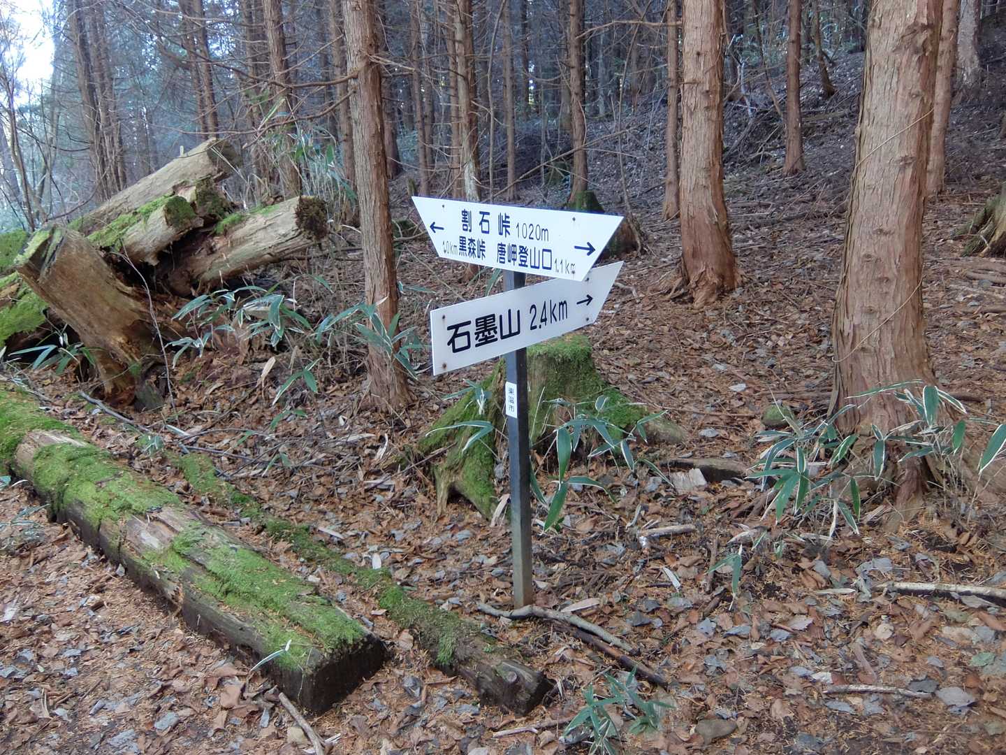 石墨山 往復コースの写真