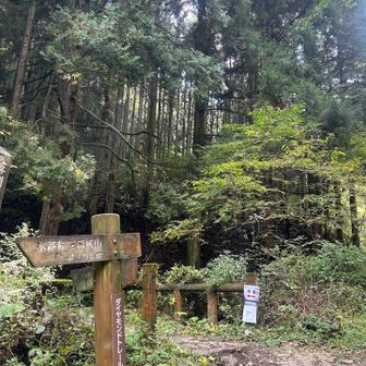 ミャクミャクに会いに行くか迷ったけど、帰ってやらなきゃいけないことだらけ
下山しまーす