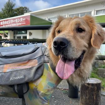 へ？そんなことないよ？へへ