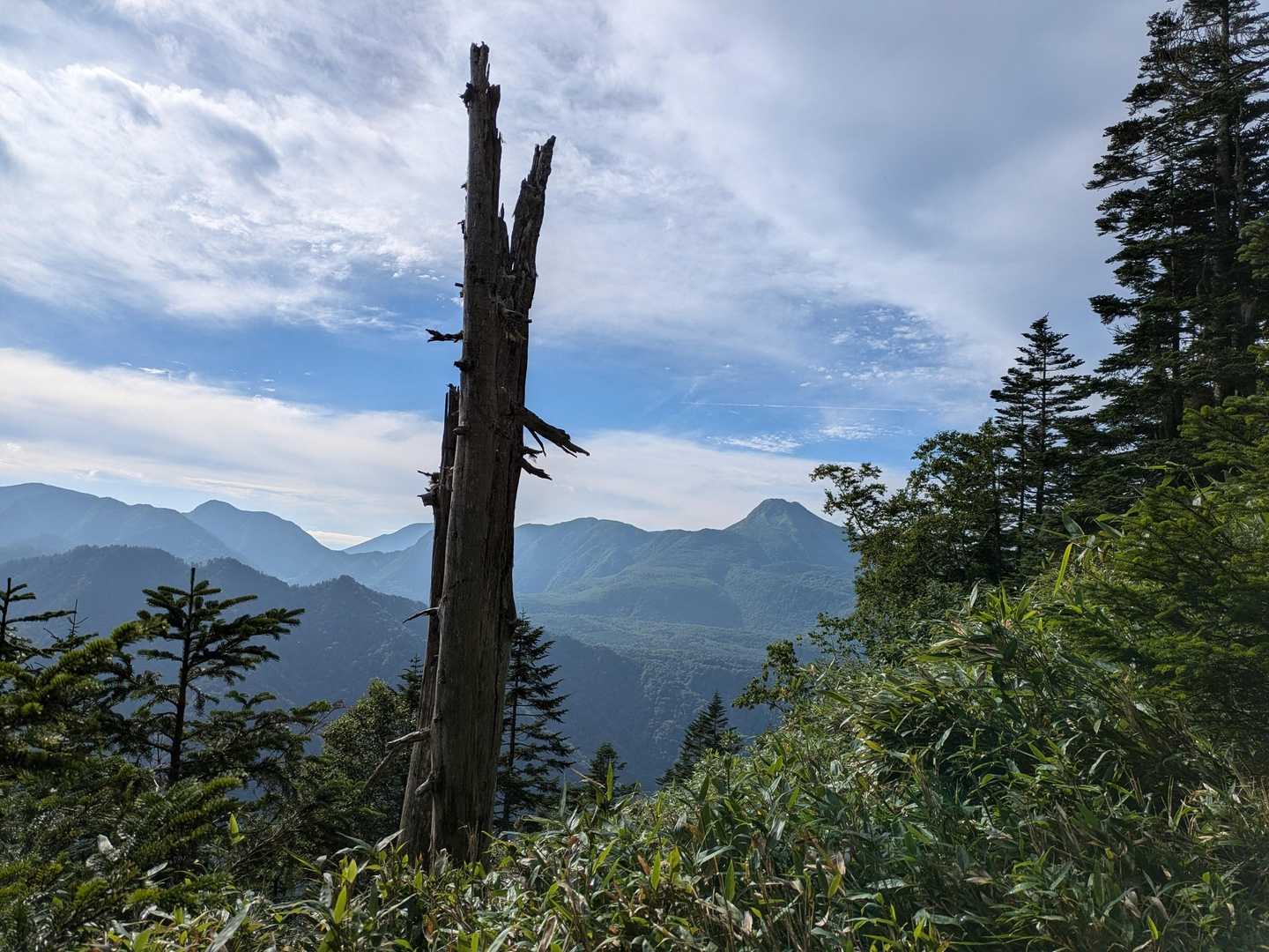 四郎岳・燕巣山登り口-燕巣山-四郎岳 往復コースの写真
