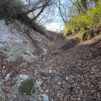 見えた(矢筈峠)
後半の登り返しでキツかったー