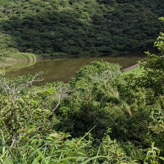 　　精　進　池　
✲箱根の火山活動で出来た周囲約500mの小さな火口原湖(堰止湖)
　昔の旅人達は、池のほとりを「三途の川」や「賽の河原」に見立てた。