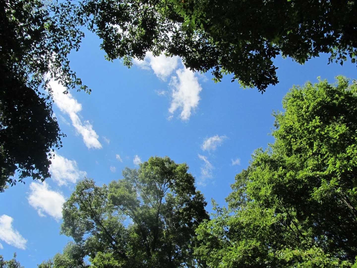 空と雲にも少し秋を感じました