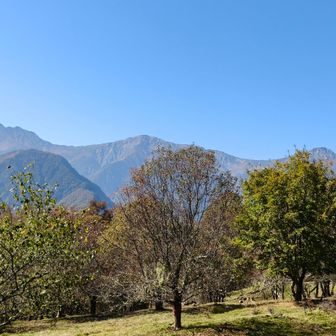 午後になっても白峰三山くっきり見えてます🙌

ここは通過点ではあるけど、長居する人は少なく、写真撮ってそのまま歩くという感じのようです。
確かに下から登ってきてもまだ休憩には早いし、下山するならあと30分くらいだからそのまま下山してからゆっくり…になりそう🤔
真夏なら暑いからこまめに休息するだろうけど…🤔

てなわけで、たまに後ろを通る人がいてもほとんど一人でこの景色を見ながらのんびりするという贅沢✨🫶