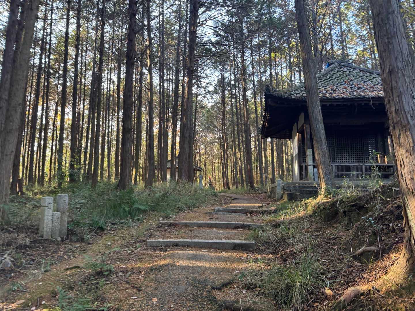 花園駅-双ヶ岡-御室仁和寺駅-御室仁和寺バス停-成就山-御 縦走コースの写真