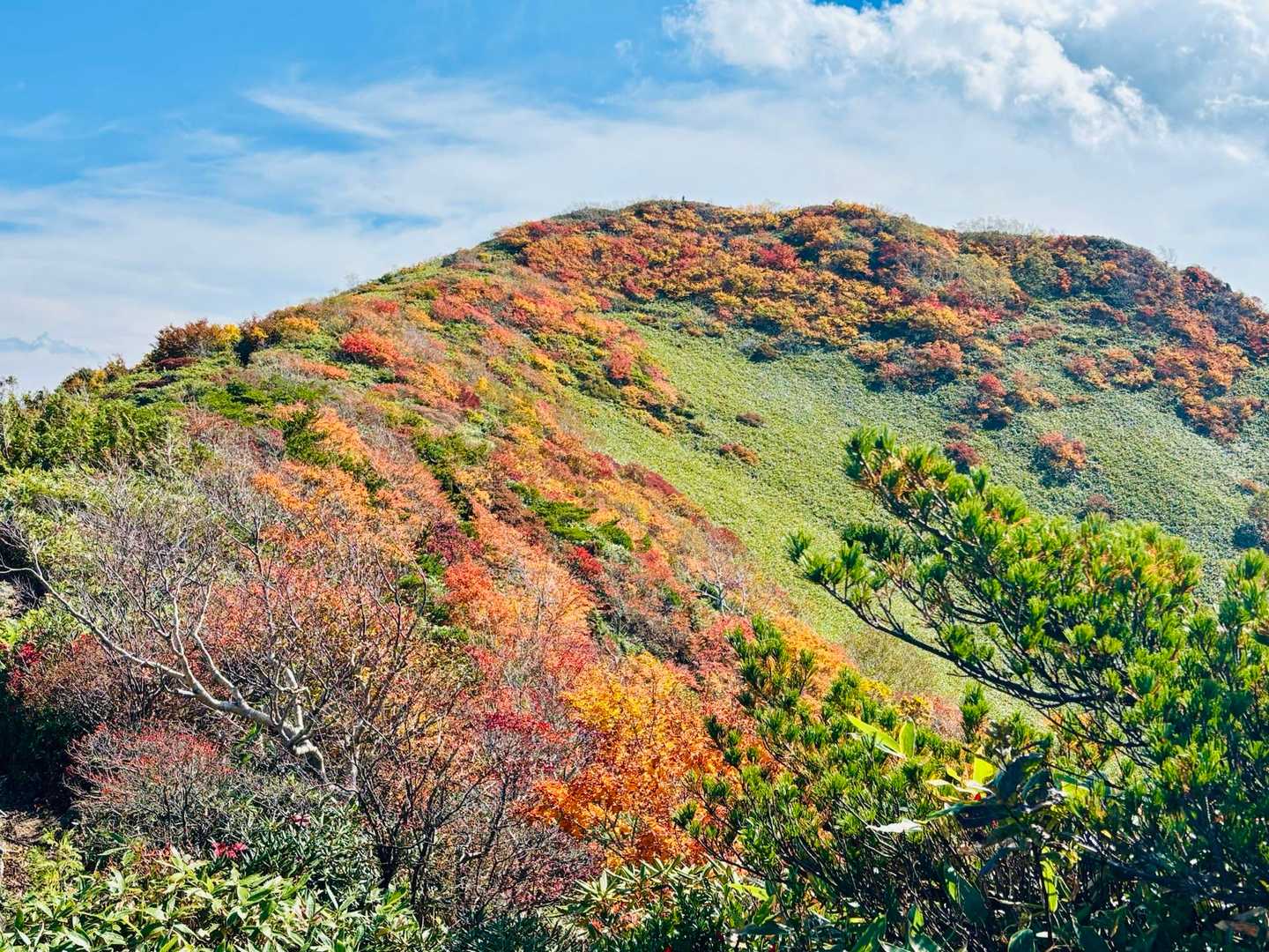 この感じが可愛い💕
白毛門山頂に行く途中から