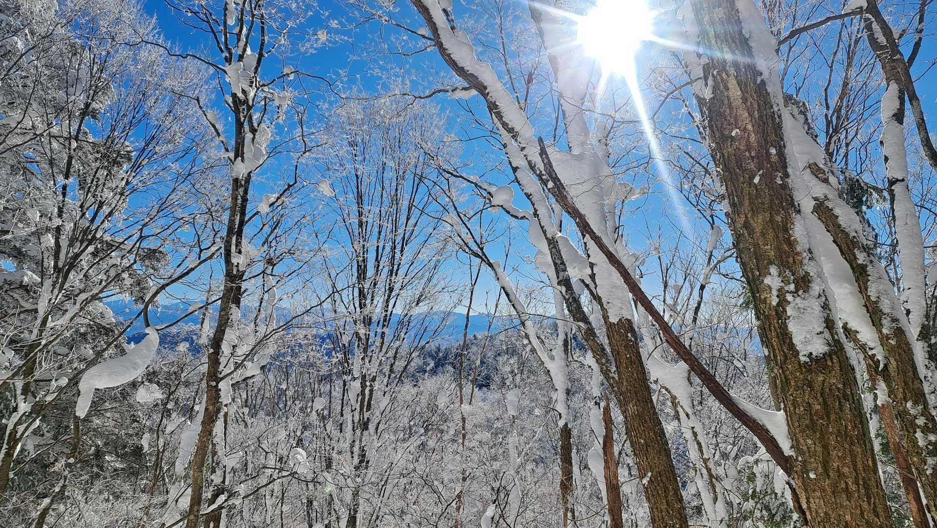 南沢山登山道入口-南沢山 往復コースの写真
