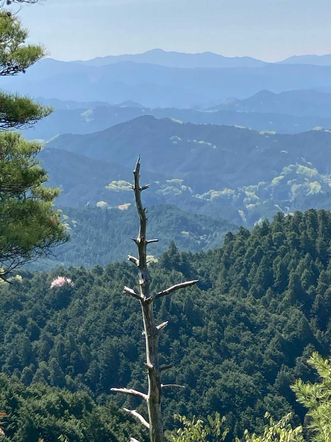 手前の山の向こうにつれの別荘？あるねんけどかくれてます。