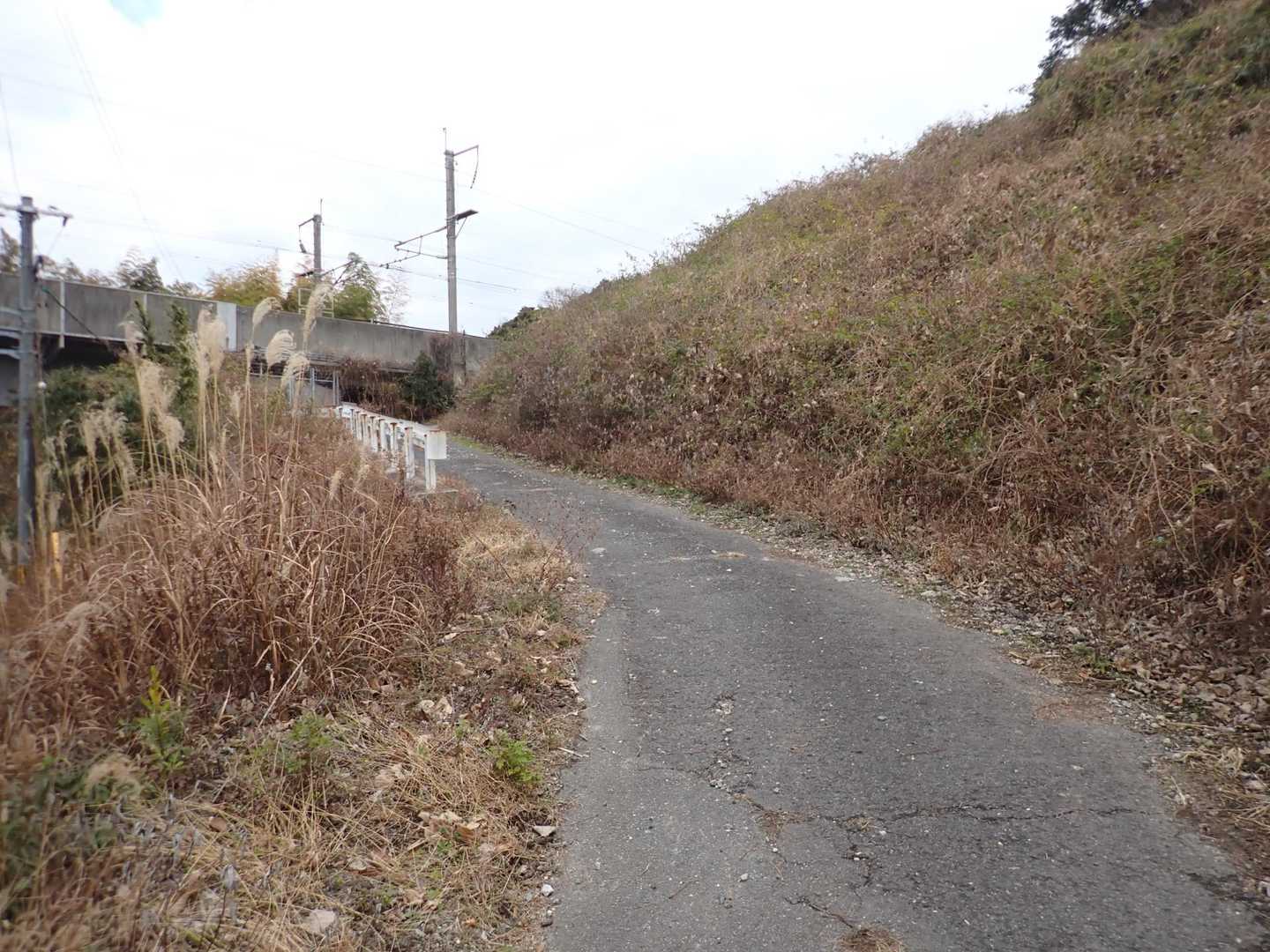 ここから登山口に向かいます