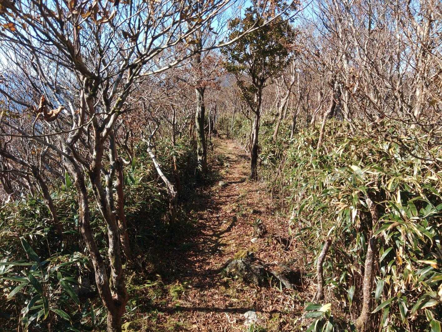 道がきれい。気持ち良く歩けます。