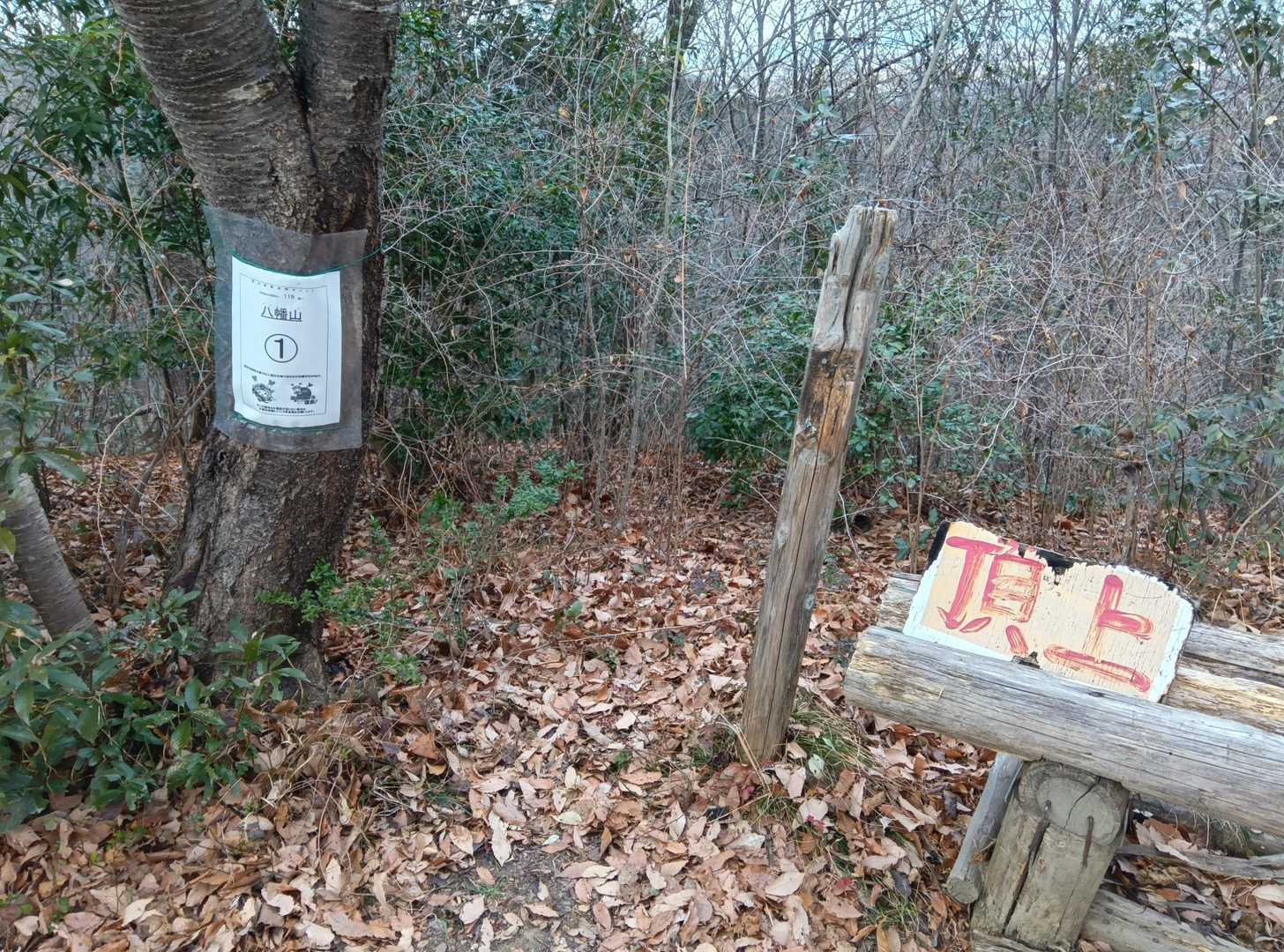 八幡山-鐘撞堂山 往復コースの写真