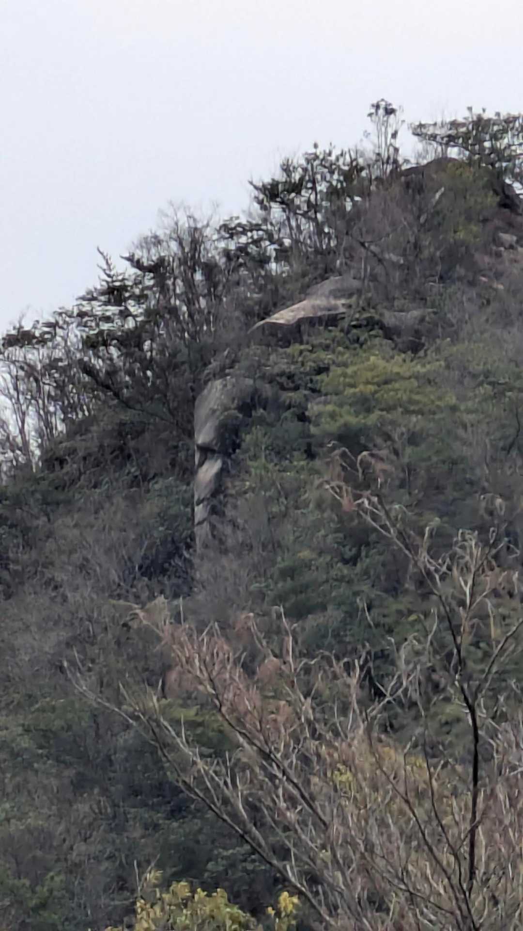 ゴリラ🦍岩をこの角度で見ると〜
骸骨💀の横顔っぽい