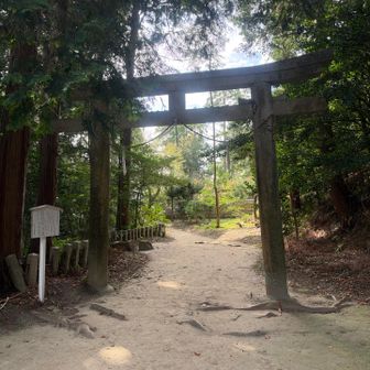 鳥居⛩️